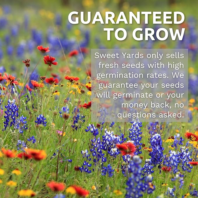 Southeast Regional Mix - Bulk 1/4 Pound Pouch - 48000 Flower Seeds for Planting - Wildflower Mix