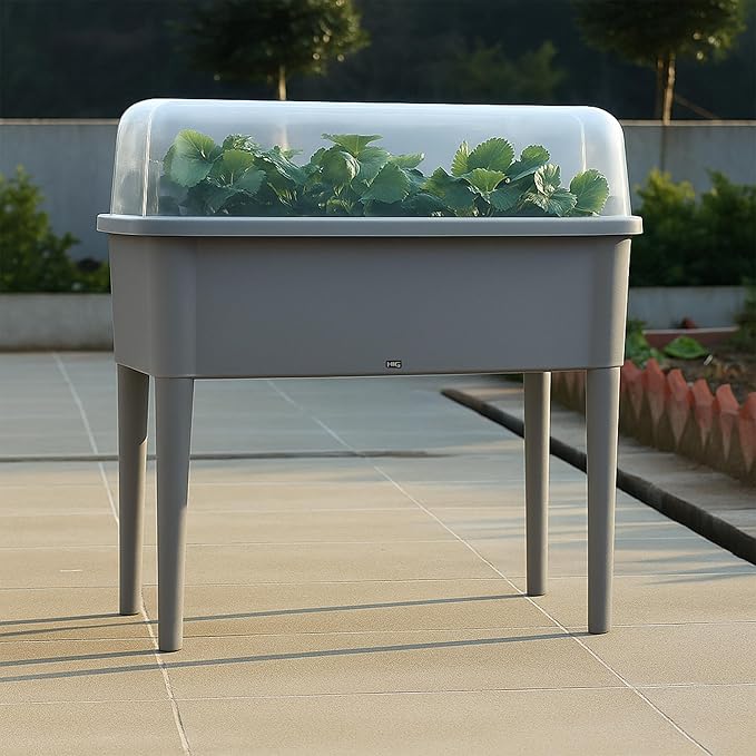 13.2 Gallon Self Watering Raised Garden Bed with or Without Transparent Ventilation Lid Greenhouse Planter Box with Legs for Indoor/Outdoor Use Ideal for Herbs &amp Vegetables (Grey with Lid)
