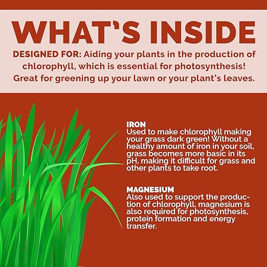 Chelated Liquid Iron – Bloom City Organic Iron Supplement for Lawns &amp Plants – 1 Gallon