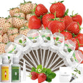 12-Pod Seed Pod Kit (Strawberry Seeds)