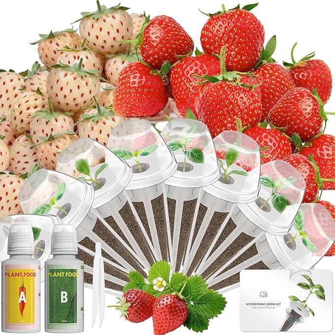 12-Pod Seed Pod Kit (Strawberry Seeds)