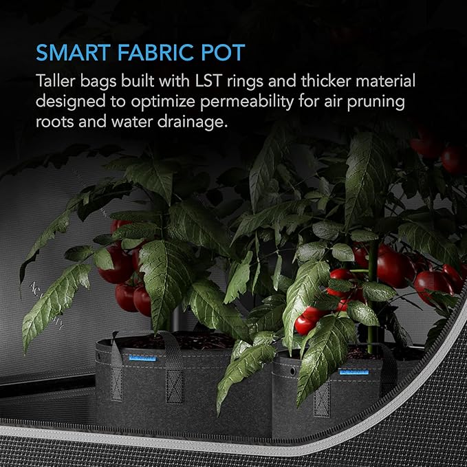 AC Infinity Heavy Duty Fabric Pots 7 Gallon Aeration Grow Bags 5-Pack with 500G Thick Nonwoven Fabric and Multi-Purpose Rings for Low Stress Plant Training Fruits Vegetables and Flowers