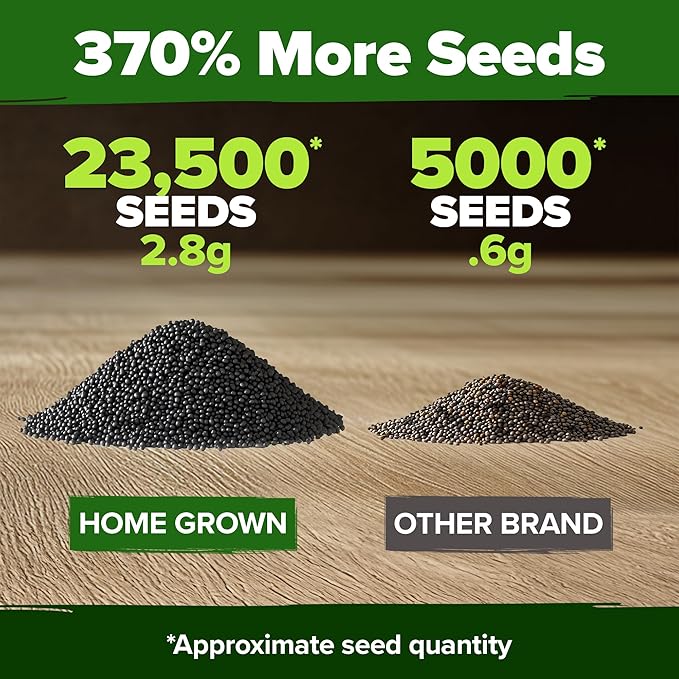 HOME GROWN Pollinator &amp Pumpkin Garden Mix – 40 Pumpkin &amp 20000 Monarch Butterfly Wildflower Seeds &amp 23500 Moss Rose Seeds – Non-GMO USA Heirloom for Outdoor Planting