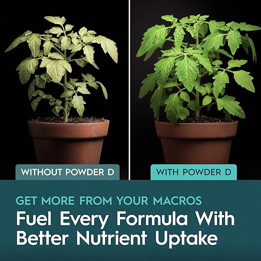 Powder D Micronutrient Supplement Complete Chelated Trace Mineral Blend with Fe-DTPA Iron Water-Soluble and Clean for RO Water Soil and Coco 5 lb Bag
