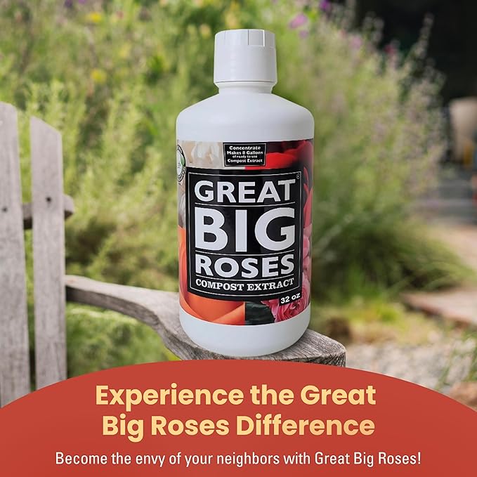 Great Big Roses – Soil and Rose Fertilizer Booster to Grow The Best Roses and Flowers Rose Food Compost Extract for Rose Bush 32 Ounce Concentrate (Makes 8 Gallons)