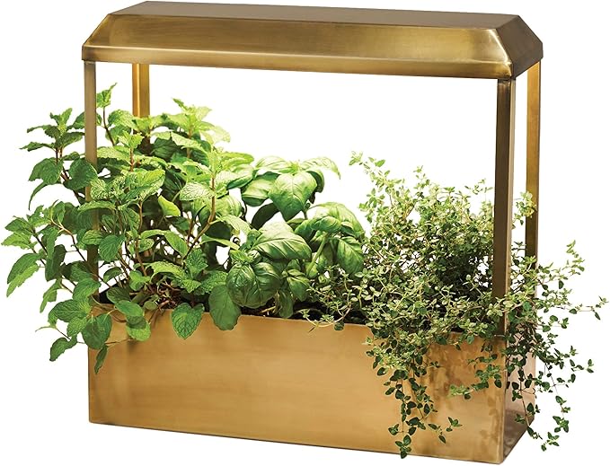 Modern Sprout Smart Growhouse - LED Grow Light for Indoor Plants - Plant Grow Light for Indoor Gardening System - Countertop Planter for Herb Garden with Smart App Control - Brass