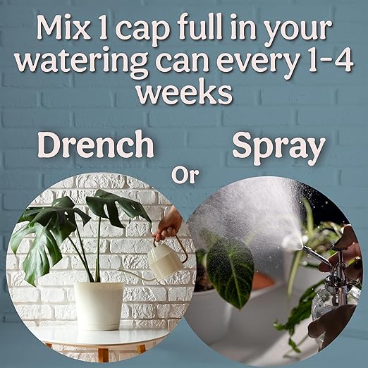 Organic Liquid Kelp &amp Seaweed Extract (Ecklonia Maxima) Super Plant Food - Indoor Houseplant Fertilizer - Organic Fertilizer for Flowers Seedlings &amp Gardens - 16oz Treats 110 Gallons