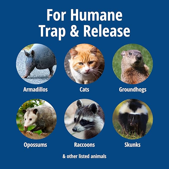 HAVAHART 1079SR Large 1-Door Humane Catch and Release Live Animal Trap Cage - Live Raccoon Trap for Bobcats Beavers Dogs &amp More