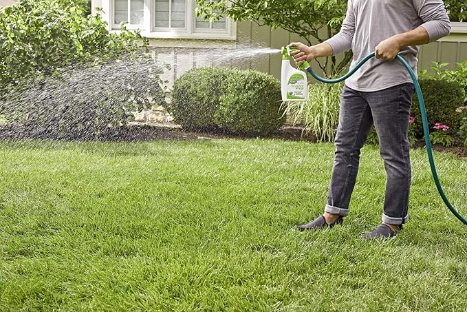 Scotts Turf Builder Starter Food for New Grass Ready-Spray Lawn Fertilizer 32 fl. oz. (12-Pack)