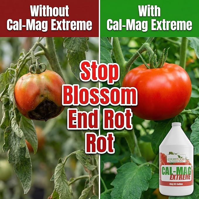 GS Plant Foods Cal-Mag Extreme Liquid 1 Gallon Fertilizer with Calcium Magnesium Iron and Sulfur Supplement Corrects Secondary Nutrient &amp Trace Element Deficiencies N-P-K of 2-0-0