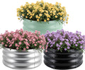 3 Pcs 2x2x1ft Round Galvanized Raised Garden Bed Planter Boxes Outdoor with Easy Assembly Metal Raised Beds for Vegetables Fruits Flowers (Galvanized Black Green)