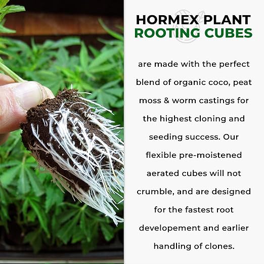 Hormex Rooting Cubes - Peat Moss &amp Coco Plugs for Cloning Plants from Cuttings and Seed Starting - Organic Plant Starter for Strong Root Growth - Ideal for Home Indoor and Outdoor Gardening - 50