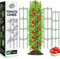 Halatool 63 Inch Tomato Cages 4 Pack Adiustable Plant Cages Assembled Tomato Garden Cages Stakes Vegetable Support Trellis with 120 Feet Twist Tie Snap-On for Vertical Climbing Plants