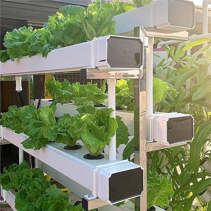 Hydroponics Growing Systems Kit Hydroponics Indoor Gardenfor Herbs Fruits and Vegetables.