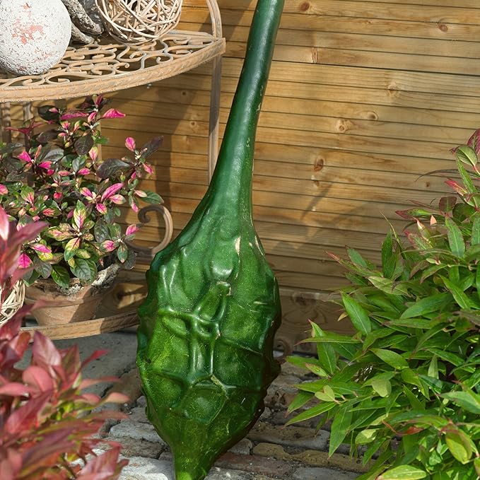 Caveman’s Club Gourd 1 Lb ~2160 Seeds – Maranka Heirloom Variety – 120 Days – Non-GMO Annual – 10–16 Long Curved Gourds – Edible When Young – Trellis Support Recommended