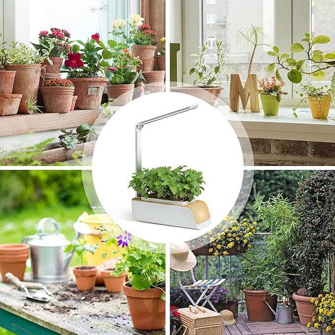 Hydroponic Grow Plant Growth Lamp Height AdjustableTemperature Display Indoor Plant Growing Kit for Vegetables Countertops Kitchen