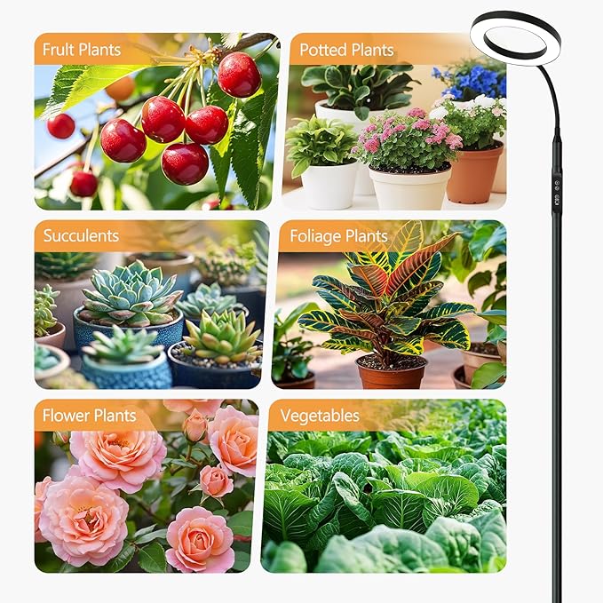 20W Indoor Plant Grow Light with Embedded Controller Red Blue Warm Full Spectrum 95 LED Bulbs Adjustable HeightAuto TimerDimmable Halo Growing Stand Lmap for Tall Large Small Plant Growth
