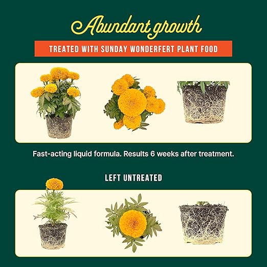 Sunday WonderFert 2 Pack - All-Purpose Liquid Fertilizer - 10-2-6 NPK Outdoor &amp Indoor Fertilizer - for New and Established Flowers Veggies Trees Shrubs &amp Indoor Plants - Covers up to 1600