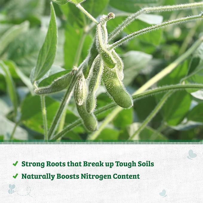 Back to The Roots 100% Organic Soybean Cover Crop Seeds Covers ~1000 sq. ft.
