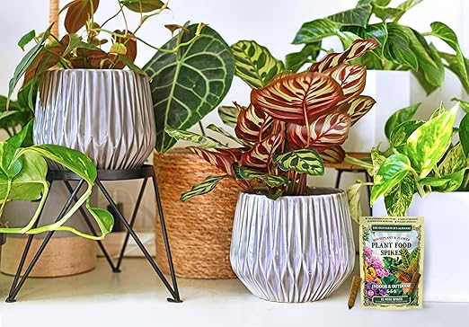The Old Farmer's Almanac Houseplant &amp Flower Plant Food Mini Spikes - NPK 5-5-5 for Continuous Feeding and Vibrant Colors (72 Mini Spikes)