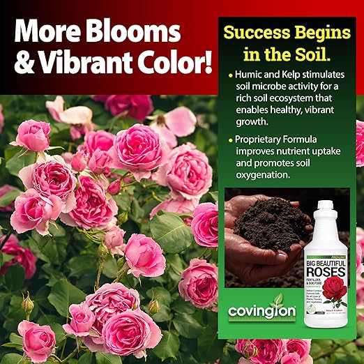 Covington Liquid Rose Fertilizer for All Types (32oz) – Liquid Concentrate for Desired Rose Tone – Natural Flower Bush Fertilizer for Indoor &amp Outdoor Use – Bloom Growth Plant Food
