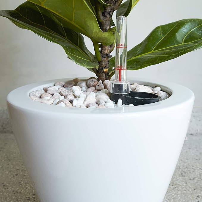 2 Pack Smart Self Watering Planter Pot for Indoor and Outdoor White Round Cone