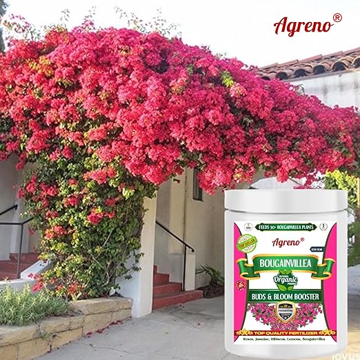 Agreno® Bougainvillea Buds and Bloom Booster Essential Organic Powerful Fertilizer Granule for Overall Fast Growth and Heavy Flowering of Bougainvillea Plants. (450 gm)