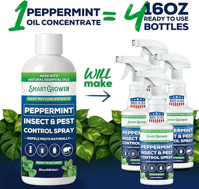 Peppermint Insect &amp Pest Control Best Value Concentrate - Repels Insects &amp Pests for Home Indoor Outdoor Garden - Maximum Strength Concentrate (Makes One Gallon RTU) 8 oz