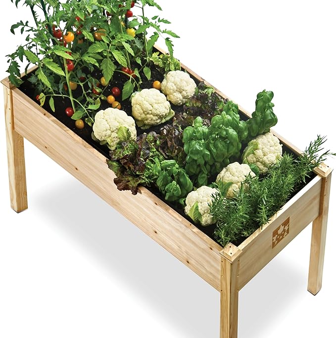 Raised Garden Bed with Legs 48x24x30 - Natural Cedar Wood Elevated Planter Box with Bed Liner for Flowers Veggies Herbs - 200lb Capacity