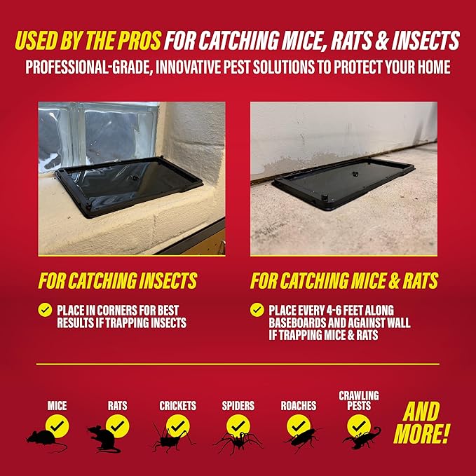 Catchmaster Rat Snake and Mouse Traps 12Pk Large Bulk Glue Rat Traps for Home Adhesive Plastic Tray for Inside House Snake Mice &amp Spider Catcher Pest Control for House &amp Garage
