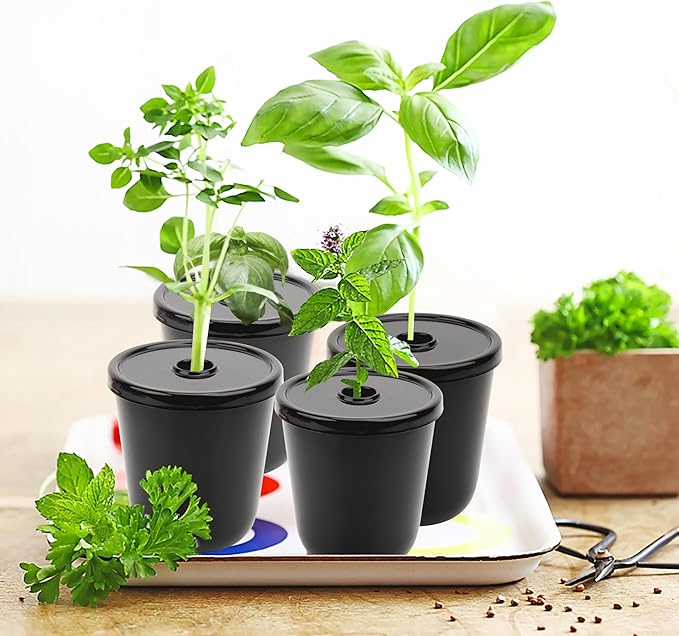 Kratky Method Hydroponic Planter Kit 8 Hydroponic Planter Plus 24 Growing Sponges for Herbs Hydroponic Mini Buckets for Windowsill Herb Garden Hydroponic Growing System for Vegetables (Black)