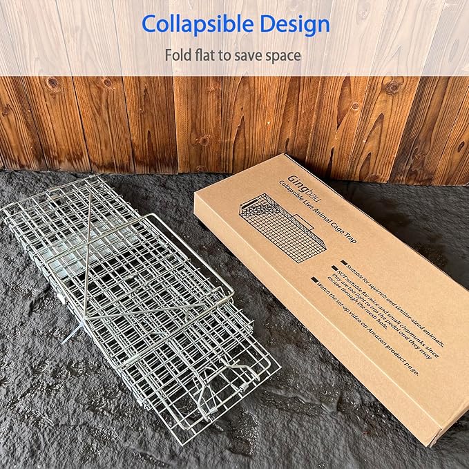 Gingbau Squirrel Trap Foldable Heavy Duty Humane Live Animal Cage Trap (Not for Mouse)