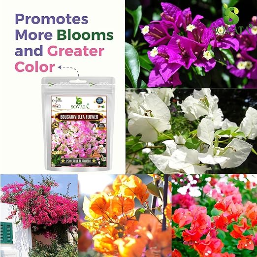 Sovata® Bougainvillea Flower Food Powerful Organic Fertilizer for Heavy Flowering and Fast Growth of Bougainvillea Plants. (900 gm)