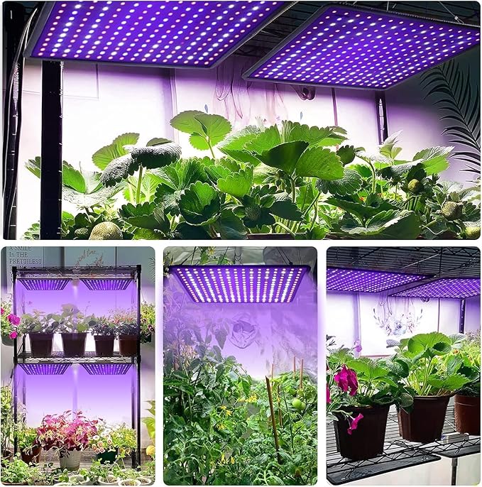 Upgrade Full Spectrum LED Grow Light with High Yield Diodes 1500W+600W Grow Lamp for Indoor Plants Perfect for Seed Starting Seedlings Vegetable Plants (Actual Powder150W&amp60W)