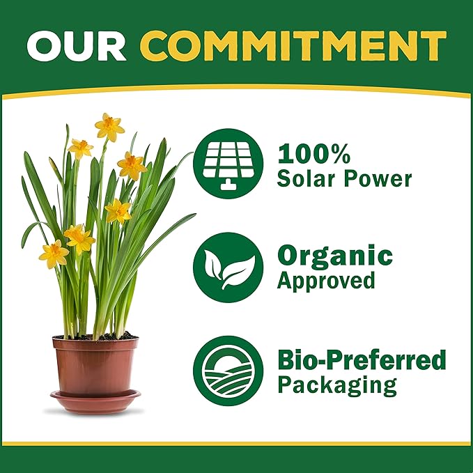 Espoma Organic Plant-Tone 5-3-3 Natural &amp Organic All Purpose Plant Food 36 lb. Bag The Original Organic Fertilizer for All Flowers Vegetables Trees and Shrubs
