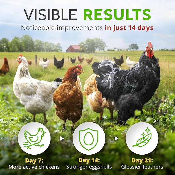 Herb Supplement for Backyard Chickens - Natural Chicken Treats Poultry Feed Botanical Mix Plant-Based Coop Snacks for Daily Wellness Feather Quality Egg Production USA (12 oz)
