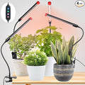 Game Changer! FECiDA 2026 4Pack 9 Watt Power Draw NO Need Adapter Clip Grow Lights for Small Indoor Plants Bonsai 4/8/12H Timer Enough Bright Like Sun for Your Plants