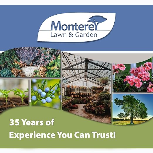 Monterey Fish &amp Grow 9-6-2 Fertilizer Liquid Plant Food for Houseplants Trees Vegetables &amp Ornamentals – Foliar Spray or Soil Drench – with Measure Spoon - 1 Gallon