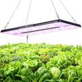 22 x 10 Grow Lights for Indoor Plants and Vegetables Full Spectrum LED Growing Lamp for Indoor Garden Greenhouse - Features Two Smart Light Mode 12~23H Timer - 1 Pack (1 Pack Black)