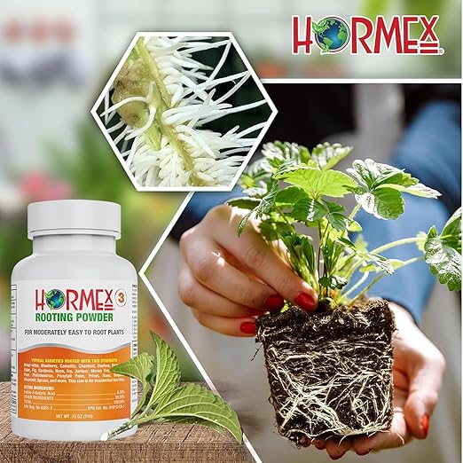 Hormex Rooting Powder #3 &amp Rooting Cubes Combo - Rooting Hormone for Semi-Softwood Cuttings &amp Organic Peat Moss Coco Plugs - Fast Healthy Root Growth for Propagation Hydroponics &amp Seed