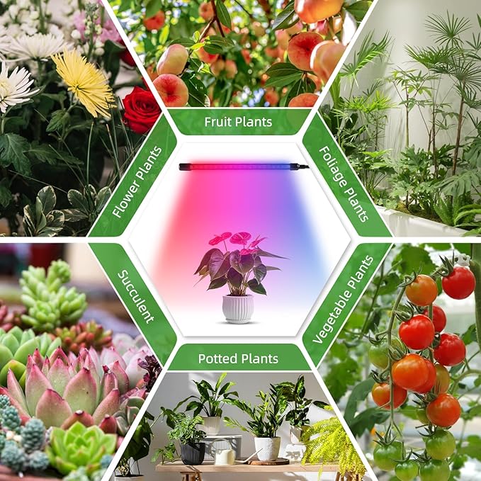 LED Grow Light with Full Spectrum Clip Plant Growth Lamp with Red and Blue LEDs for Indoor Plants 10 Levels Dimmable 3/9/12H Timer 4 Heads