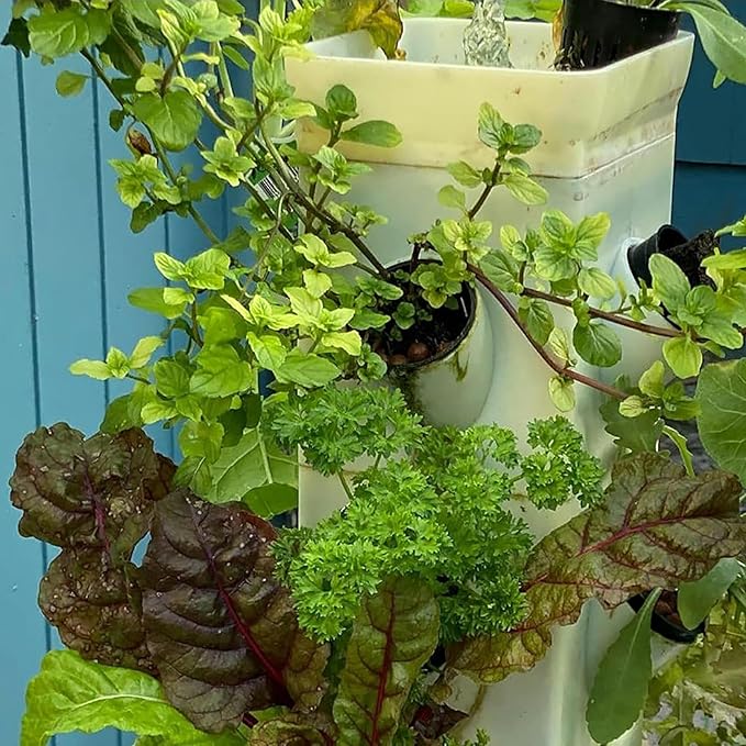 Garden Hydroponic Growing System Vertical Tower - Vegetable Plant Tower Gift for Gardening Lover - Automate Aeroponics Mini Indoor Outdoor Home Grow Herb//1pc