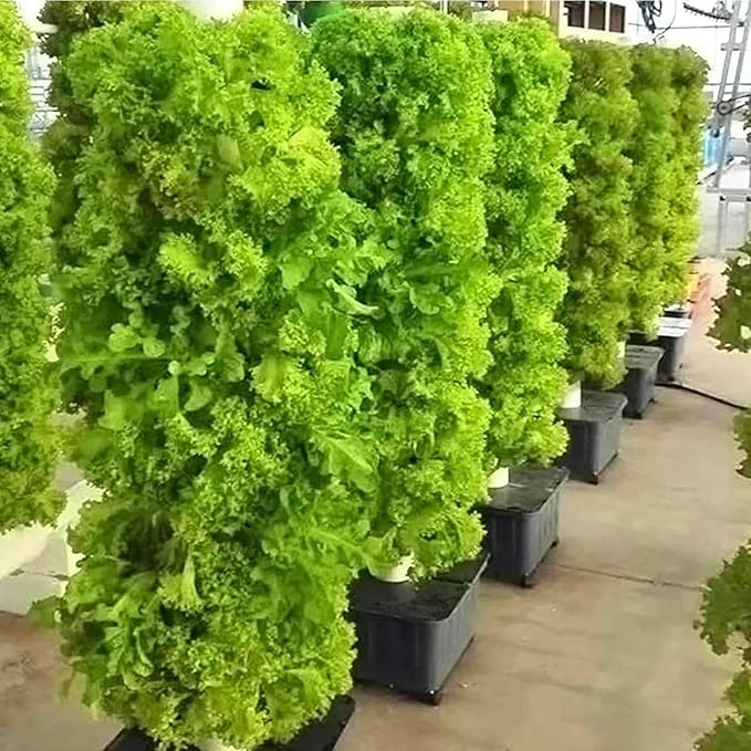 Hydroponic Growing Kits 45 Holes Hydroponics Growing System ｜ Indoor Grow System Vertical Grow Tower Hydroponic Planting Equipment for Herbs Fruits and VegetablesGifts for Men