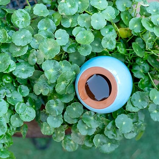 Self-Watering Planter Insert - 2 Pack Automatic Watering System for Indoor and Outdoor Potted Plants - Eco-Friendly Blue &amp Green Design with 300ml Capacity for Vacation Moisture Control