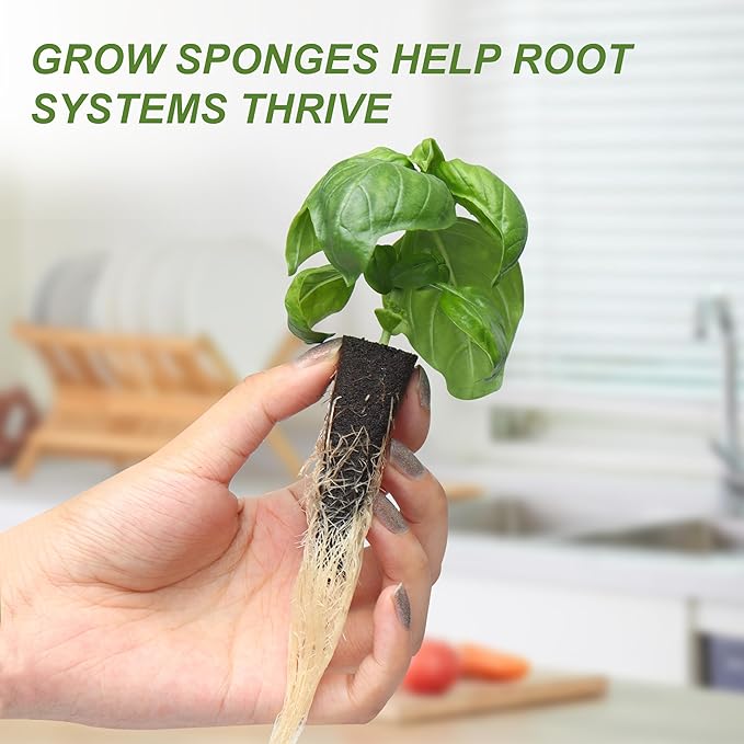 Kratky Method Hydroponic Planter Kit 8 Hydroponic Planter Plus 24 Growing Sponges for Herbs Hydroponic Mini Buckets for Windowsill Herb Garden Hydroponic Growing System for Vegetables