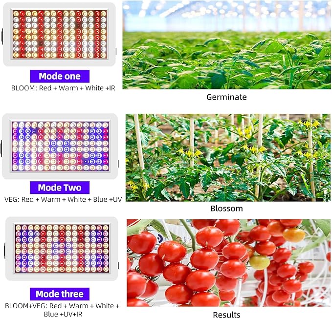 1000W LED Grow Lights Double Chips Full Spectrum Daisy Chain 3 Modes Timer Plant Light for Greenhouse and Indoor Plant Veg and Flower Growing216 LEDs