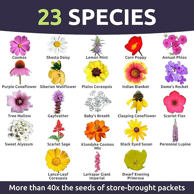 Southeast Regional Mix - Bulk 1/4 Pound Pouch - 48000 Flower Seeds for Planting - Wildflower Mix