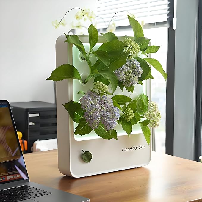 Indoor Hydroponic Growing System Desktop Herb &amp Vegetable Grow Light with LED Grow Lamp - Hydroponic Cultivation Harvest Lettuce (White)