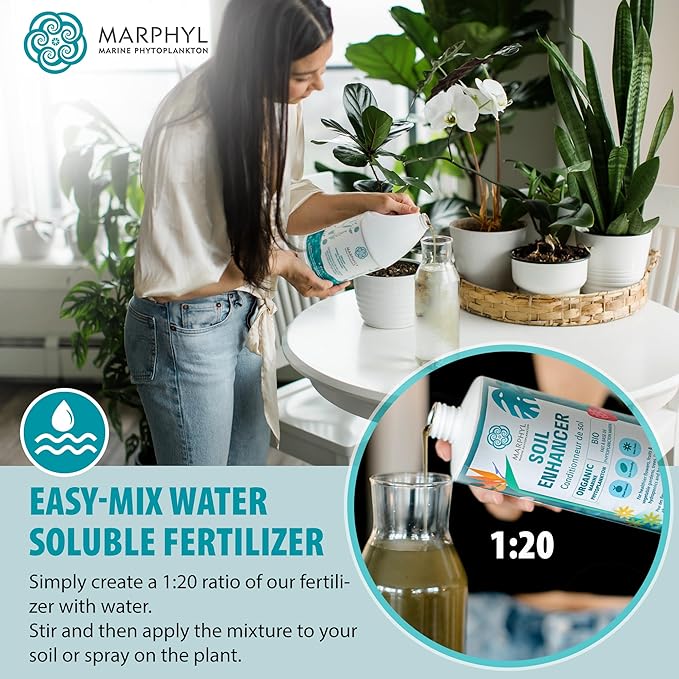 MARPHYL All-Purpose Plant Food – Organic Nutrient-Rich Fertilizer &amp Soil Enhancer for Indoor &amp Outdoor Flowers Vegetables Succulents Bamboo &amp Hydroponics