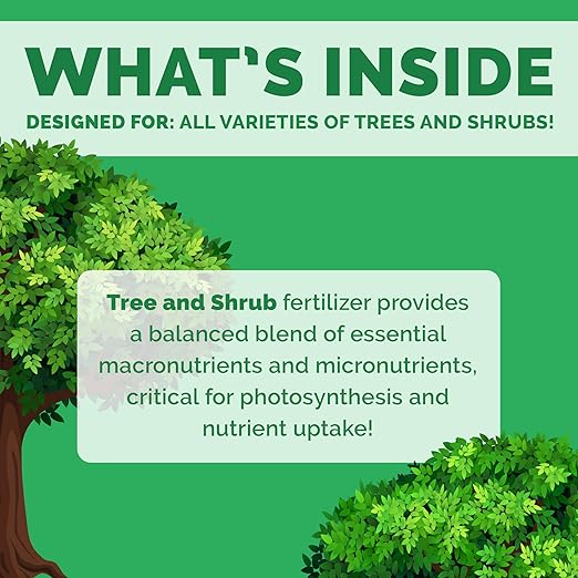 Bloom City Tree &amp Shrub Fertilizer – Liquid Plant Food for Stronger Roots Fuller Foliage &amp Healthy Landscape Growth 32 oz